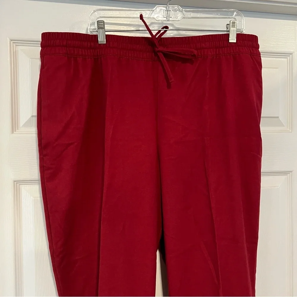 Banana Republic Red Chakra Easy Taper Flannel Pant Size XL It#L23